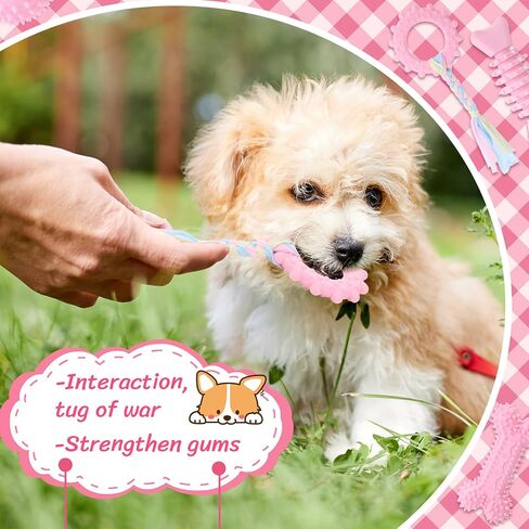 9 حزمة Pack Puppy Puppy Toys for Beppy Buppy Bearing Toys لمدة 0-6 أشهر مناسبة للكلاب الصغيرة (الوردي) in Kuwait