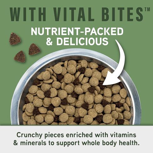 Natural Balance Specialized Nutrition Dry Dog Food with Salmon and Oatmeal for Dogs, Sensitive Skin & Stomach Dog Food, Natural Ingredients with Added Vitamins & Minerals - 3.5 lbs in Kuwait