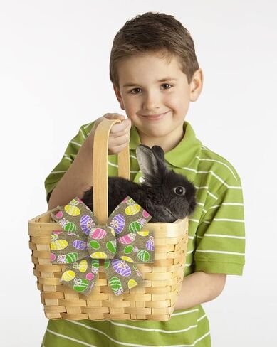 شرائط النسيج عيد الفصح 10 ياردة ، يوم عيد الفصح بقع خضراء نقاط الأرانب النمط حافة الحافة السلكية للاختراق هدايا عيد الفصح التغليف منزل الحفلات الشجرة الإمدادات - 2.5 بوصة × 10 ياردة × 1 لفة in Kuwait