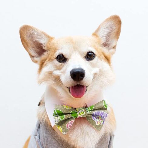 شرائط النسيج عيد الفصح 10 ياردة ، يوم عيد الفصح بقع خضراء نقاط الأرانب النمط حافة الحافة السلكية للاختراق هدايا عيد الفصح التغليف منزل الحفلات الشجرة الإمدادات - 2.5 بوصة × 10 ياردة × 1 لفة in Kuwait