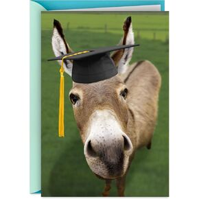 بطاقة التخرج المضحكة في Hallmark Bunner (Smart Donkey)