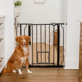 Carlson Extra Wide Walk Through Pet Gate with Small Pet Door, Includes 4-Inch Extension Kit, Pressure Mount Kit and Wall Mount Kit,White