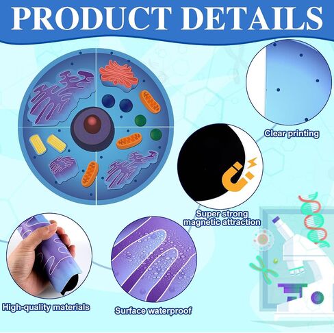Leitee 18 Pcs Magnetic Animal Cell Model Kits Giant Teaching Resources Early Biology Cell Anatomy Model Life Science Teaching Aid for Whiteboard Learning Tools Educational Classroom Activities in Saudi Arabia
