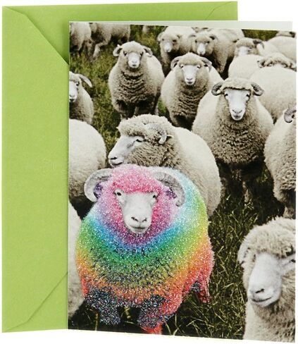 Hallmark Shoebox Funny Graduation Card (Smart Donkey) in Saudi Arabia