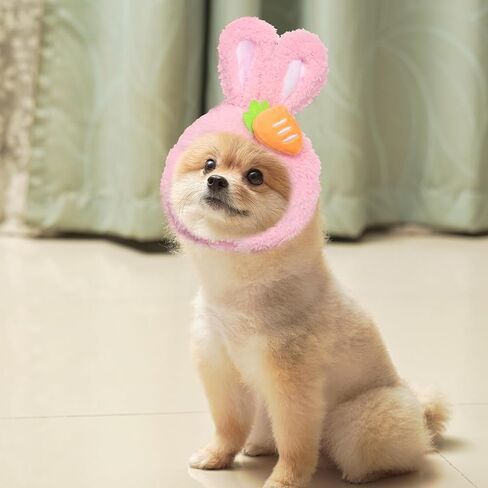 قبعة Alibbon Easter Cat Cat لطيف أرنب أرنب مع آذان زي زهرة عيد الفصح للحيوانات الأليفة للقطط الكلاب الصغيرة جرو Cat Cate for Easter Party Bunny Cap Cap Rabbit Rabbit for Easter Cosplay Supplies in Saudi Arabia
