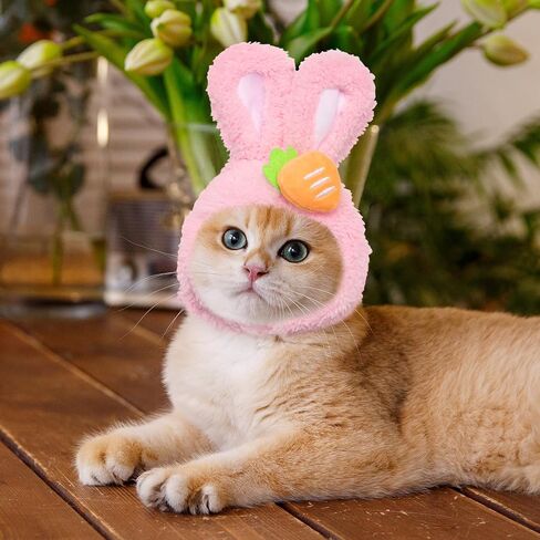 قبعة Alibbon Easter Cat Cat لطيف أرنب أرنب مع آذان زي زهرة عيد الفصح للحيوانات الأليفة للقطط الكلاب الصغيرة جرو Cat Cate for Easter Party Bunny Cap Cap Rabbit Rabbit for Easter Cosplay Supplies in Saudi Arabia