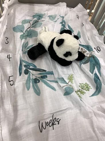 Miaoberry Woodland 100% Organic Cotton Muslin Milestone Blanket in Kuwait