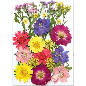 40PCS Dried Flower Bookmarks Clear Jars, Large DIY Mothers Day Pressed Flower Bookmark, Plant Bookmark Set, Transparent Drift Bottle Handmade Glassware Stickers
