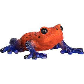 Mojo Poison Dart Tree Frog واقعية واقعية للحياة البرية.