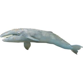Safari Ltd. Gray Whale تمثال - LifeLike 12.5 "الشكل البلاستيكي الشكل - لعبة تعليمية ممتعة لعبة الأولاد والبنات والأطفال الذين تتراوح أعمارهم بين 3+