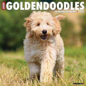 Willow Creek Press ، Just Goldendoodles 2025 Wall Calendar