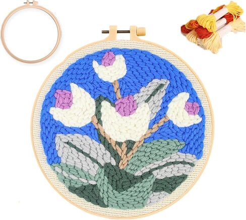 Punch Stitch Kit, Healing Weave Punch Stitching Kit, DIY Needle Kits for Adults, Punch Stitching Set, Punch Needle Kits Adults Beginner (G) in Saudi Arabia