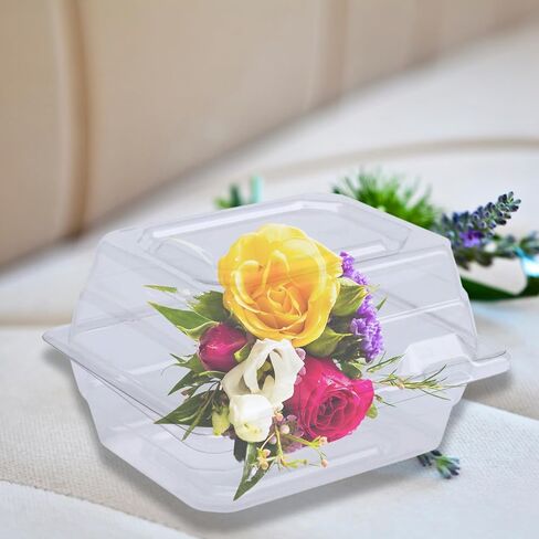 Curtis Wagner Plastics CW-543 صناديق زهرة واضحة (5 عبوات) الحجم 4.5 "× 3.75" × 3 "| in Kuwait