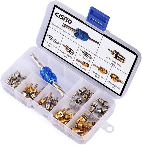 39PCS Air Conditioning Valve Core A/C R12 R134a Refrigeration Tire Valve Stem Cores Remover tool in Saudi Arabia