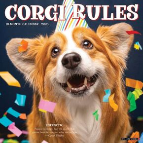 Willow Creek Press Calendars ، Corgi Rules 2025 Wall Calendar