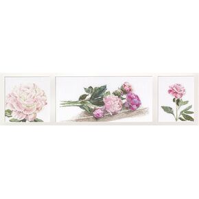 Thea Gouverneur - Cross Cross Stitch Kit - Peonies - Aida - 18 Count - مجموعة تطريز للبالغين - مؤشرات ترابط التطريز DMC وغيرها