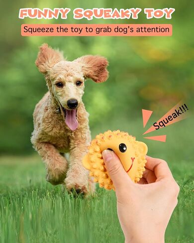 SCHITEC Squeaky Dog Toys, [2 Pack] Squawking Latex Toy with Interactive Squeaker, Squeak Rubber Duck Chicken for Medium Small Dogs in Saudi Arabia