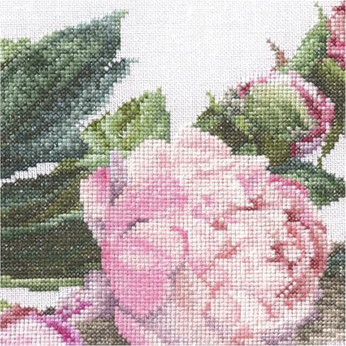 Thea Gouverneur - Cross Cross Stitch Kit - Peonies - Aida - 18 Count - مجموعة تطريز للبالغين - مؤشرات ترابط التطريز DMC وغيرها in Saudi Arabia