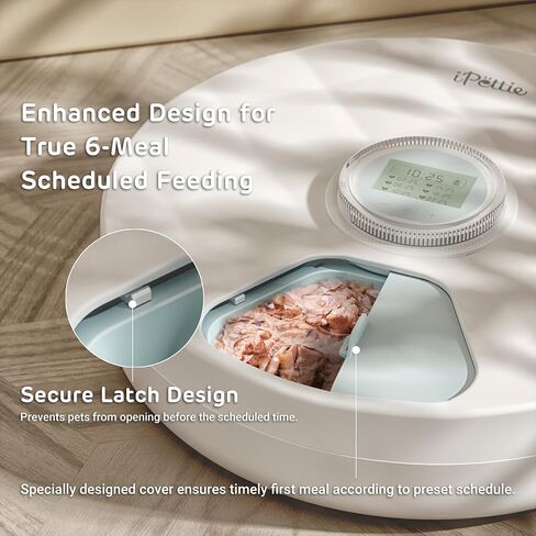 [Stainless Steel Food Tray] Brioche Automatic Wet Food Feeder for Pets - True 6-Meal Cordless Fresh Can Dispenser with Two Ice Packs, Perfect for Newborn Senior Sick Cats and Small Dogs in Kuwait