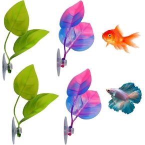 إكسسوارات Betta Fish Cann