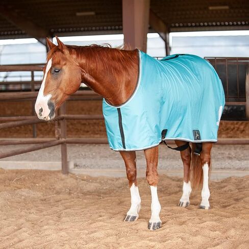 Classic Equine Classic Stable Sheet with Closed Front, Black, Medium in Kuwait