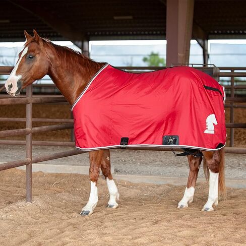 Classic Equine Classic Stable Sheet with Closed Front, Black, Medium in Kuwait