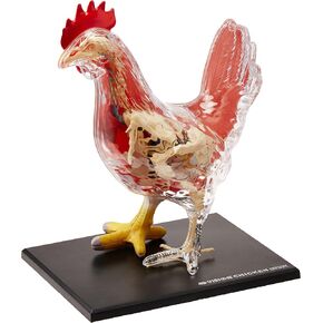 4D Master Vision Chicken Skeleton & Anatomy Model Kit, One Color