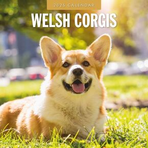 Red Robin 2025 Welsh Corgis Monthly Wall Calendar | 12" x 24" Open | Premium Thick & Sturdy Paper | Hangable 12 Month Calendar | Plastic Free | 4 Month Transition Page for 2024