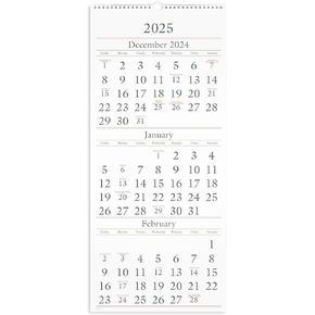 AT-A-GLANCE 2025 Wall Calendar, 12" x 27", Large, 3-Month (SW1152825)
