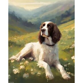 XTXGERL Paint by Number Springer Spaniel Dog on Grass DIY Oil Painting Paint by Number kit for Adults Beginner DIY Canvas Acrylic Painting by Numbers Paintings Arts Craft for Home Decor