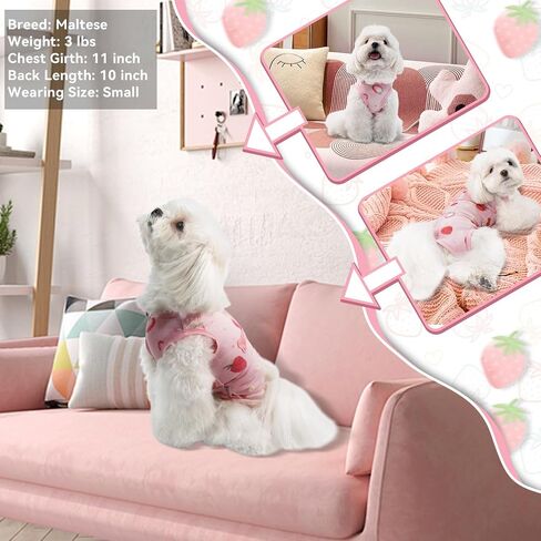 TONY HOBY Dog Pajamas Summer Dog Shirt Onesie Recovery Suit Sleeveless Puppy Jumpsuit Outfit Costume with 5-Snap Button, Soft Strawberry Print Pet Clothes for Small Dogs(Pink, Medium) in Saudi Arabia