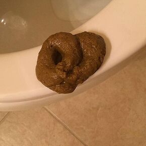 لعبة poopy مزيفة ، أنبوب مزيف واقعية بنية ، ألعاب أنبوب واقعية ، ألعاب أنبوب مزيفة تطفو على مزحة يوم أبريل ، هدية مثالية هدفة ، لوازم هدايا مزحة