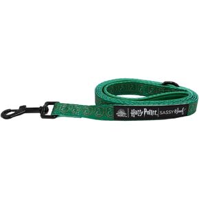 Harry Potter ™ Slytherin Dog Leash 60 بوصة مع مقبض مبطن النيوبرين - مريح ومتين وأنيق للكلاب الصغيرة إلى الكبيرة