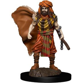 أيقونات Druid البشرية من الذكور من العوالم المميزة المصغرة الخيال 93031