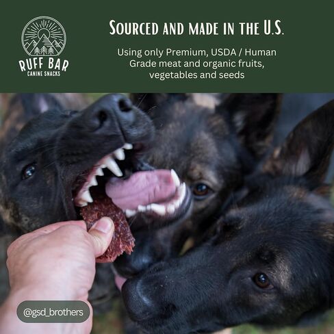 RUFF BAR Dog Treats, Pork Dog Training Treats, High Protein Bars for Dogs, Energy Snack for Dogs, Natural Dog Treat with Grass Fed Meat, Hormone & Antibiotic Free, Individually Wrapped, 28 g, 5 Pack in Saudi Arabia