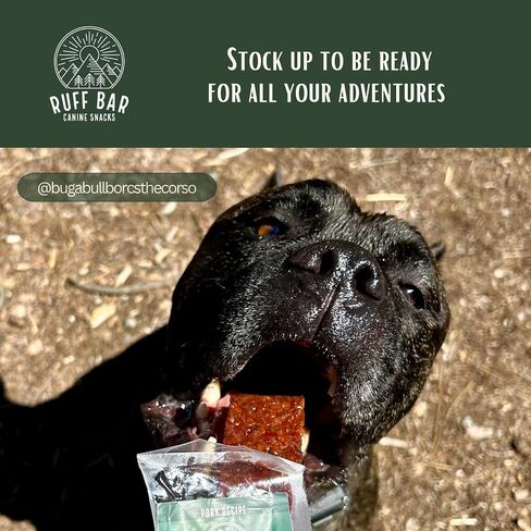 RUFF BAR Dog Treats, Pork Dog Training Treats, High Protein Bars for Dogs, Energy Snack for Dogs, Natural Dog Treat with Grass Fed Meat, Hormone & Antibiotic Free, Individually Wrapped, 28 g, 5 Pack in Saudi Arabia