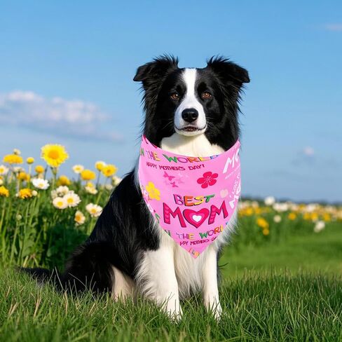 Spring Dog Bandanas Bulk 30 Pcs Adjustable Flowers Dog Bandanas for Small Medium Dogs Breed 25 Inch Spring Scarves Grooming M in Kuwait