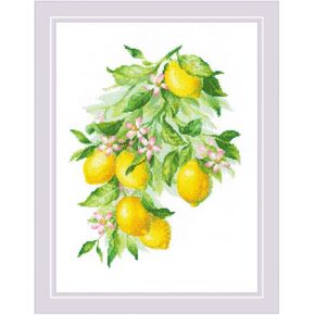Riolis - Lemons Bright 2054 ، Cross Stitch Kits 11¾ "× 15¾" ، مجموعات غرزة متقاطعة للمبتدئين والمقاطع المتقدمة للبالغين ، مجموعة غرز التطريز.