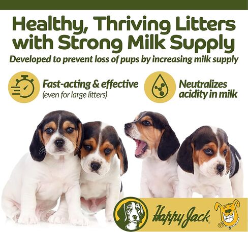 Happy Jack Flexenhance Dog Hip and Joint Supplement with Skin & Coat Support Plus (80 Chewable Tabs), Improve Flexibility & Mobility, Glucosamine, Green Lipped Mussel, Fish Oil in Kuwait
