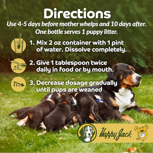 Happy Jack Flexenhance Dog Hip and Joint Supplement with Skin & Coat Support Plus (80 Chewable Tabs), Improve Flexibility & Mobility, Glucosamine, Green Lipped Mussel, Fish Oil in Kuwait