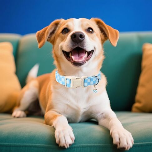 DOGWONG Pink Girl Dog Collar, Cute Pink Female Dog Collars, Adjustable Cute Pet Collars Girl Design Dog Collar for Small Medium Large Dogs in Kuwait