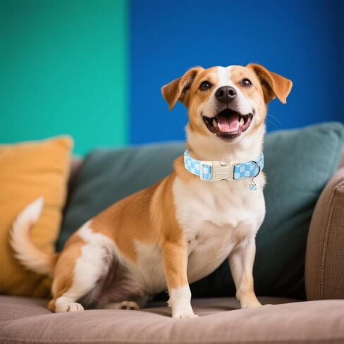 DOGWONG Pink Girl Dog Collar, Cute Pink Female Dog Collars, Adjustable Cute Pet Collars Girl Design Dog Collar for Small Medium Large Dogs in Kuwait