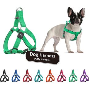 Kruz Original -Duty No Pull Dog Harness - الراحة الفائقة ، متانة مدى الحياة ، تسخير الحيوانات الأليفة لسلالات الكلاب الصغيرة والمتوسطة (الفيروز ، كبير)