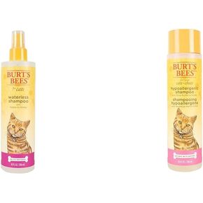 حزمة Burt’s Bees for Pets Cat Care: شامبو القط بدون ماء مع تفاح وعسل ، 10 أوقية وقطط شامبو قطة هيبوالرجينيك مع زبدة الشيا والعسل للبشرة الجافة والحساسة