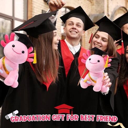 HyDren 10 Inch Graduation Axolotl Plush Stuffed Animal Axolotl Stuffed Animals with Graduation Hat Diploma and Sash, Plush Gift for Preschool, Kindergarten, Friend, Relatives (Neo Fushia) in Saudi Arabia