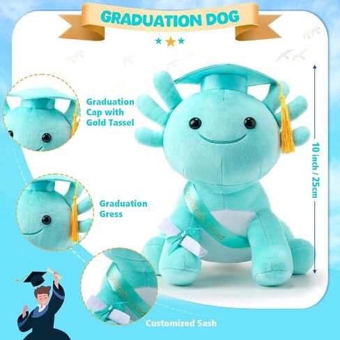 Hydren 10 بوصة التخرج Axolotl Plush محشو الحيوانات المحشو الحيوانات مع دبلوم قبعة التخرج و SASH ، هدية أفخم لمرحلة ما قبل المدرسة ، روضة الأطفال ، صديق ، الأقارب (نيو فوشيا) in Saudi Arabia