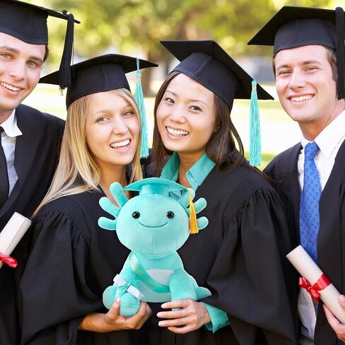 Hydren 10 بوصة التخرج Axolotl Plush محشو الحيوانات المحشو الحيوانات مع دبلوم قبعة التخرج و SASH ، هدية أفخم لمرحلة ما قبل المدرسة ، روضة الأطفال ، صديق ، الأقارب (نيو فوشيا) in Saudi Arabia