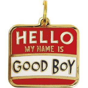 Dog Lover Hello My Name Is Good Boy Enamel Dog Collar Charm 1.25 Inch
