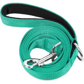 Double-Sided Reflective Nylon Dog Leash, 6 FT/4 FT/5 FT, Soft Padded Handle Heavy Duty Leashes with D Ring for Medium and Large Dogs Walking and Training,(Teal, 6FT)