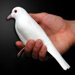 Momomage Super LaTex Dove Magic Tricks Stage Rubber Dove Magic Vary/تظهر سحرية الوهم الوهم بالقيام بالدعامات السحرية